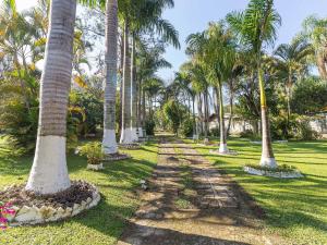Piscina, jardim, área gourmet e vista arborizada