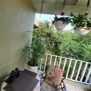 Dickinson Guest House, Guadalajara Expo