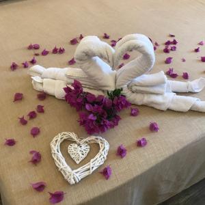 Monti di Jogliu img8