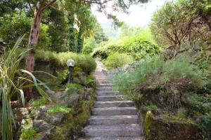 Luxury Villa Laglio