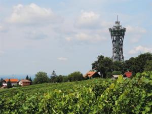 Talu Zidanica Lan Lendava Sloveenija