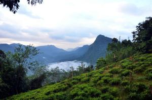 Hotel Breetas Garden