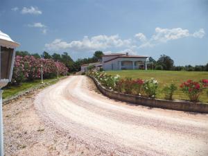 Villa 342 m2 classée 4 étoiles sur 1 ha - Provence