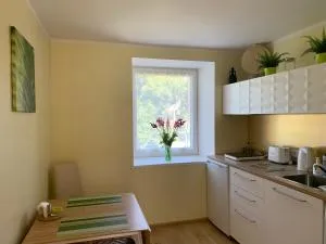 Excelent apartment with garden and free parking - Babīte