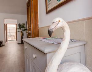 Alhaurin Old Town, Casa Flamingo, 2 bed apartment