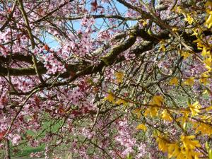 Chambres dhôtes La Charrière