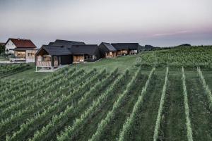 Weingut & Winzerhäuser Skringer