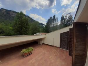 Triple Room with Terrace
