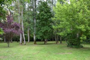 B&B / Chambres d'hotes Le Moulin Bleu : photos des chambres