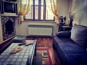 Apartment Nono Anton