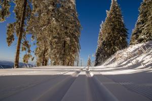 Appart'hotels Le Couaroge Chalets et Appartements : photos des chambres