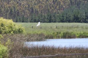 Laguna Verde Cabaña