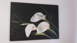 Depandance Macchiavelli 2 img50