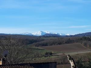 B&B / Chambres d'hotes Le Chat Botte - Vankantiehuis in Languedoc-Roussillion : photos des chambres