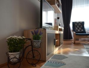 Modern and Cozy Apartment