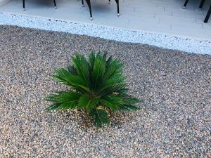 Il Tramonto Luxury House img11