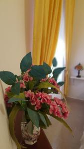 Zia Mia B&b img53