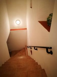 Gli ulivi della Monda