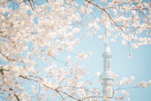 Evergreen hotel ichigaya luxe - Apartmány, Tokio