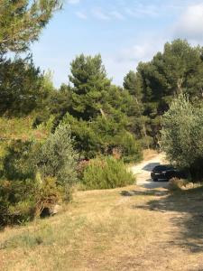 B&B / Chambres d'hotes MAS DE LA FADETO : photos des chambres