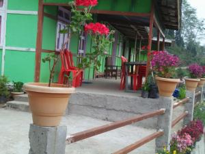 Renu Homestay Sillerygaon