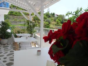 Galini Hellenic Hospitality