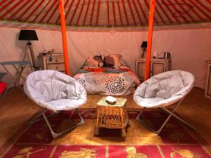 Tentes de luxe Yourte Mongole : photos des chambres