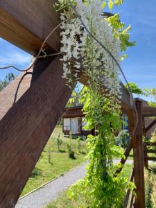 Lodges Chalet 3 chambres en Bois dans les landes n37 : photos des chambres