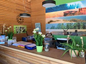 Lodges Chalet 3 chambres en Bois dans les landes n37 : photos des chambres