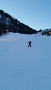 Leilighet i Åmotsdal