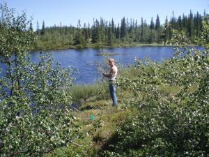 Leilighet i Åmotsdal