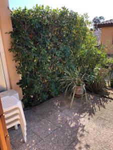 Appartements PORTICCIO, AGOSTA PLAGE vue mer pour 6 p, 2 ch, PROMO 7 nuits : photos des chambres