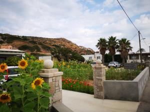 Eleni Studios Kos Greece