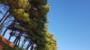 Apartmani Maver
