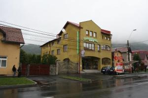 3 star Пансионат Pensiunea Excelsior Бая-Маре Румыния