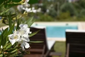 Casa nas Serras - Malpartida