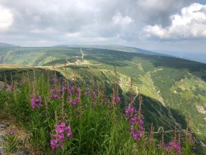 Apartmán Jestřáb 5