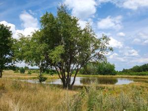 Folkowa Chatka- Kaszubska Ostoja