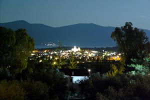 Villa in the Olive Trees Parnassos Greece