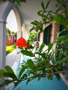 Casa del Vigneto - NEW near VENICE - rooms+bathroom - INDEPENDENT