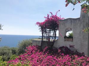 Marina Blu - Borgo storico Conca dei Marini