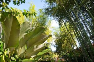 Naturalmente Boutique Bungalows y Cocina Mediterránea