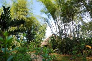 Naturalmente Boutique Bungalows y Cocina Mediterránea