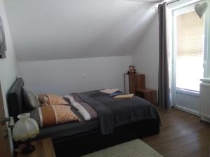 apartman Lusy