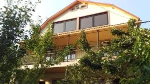 Resort Hotel BIJNISI - Kintsvisi