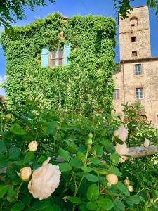 Capannacce Organic and Horse Farm