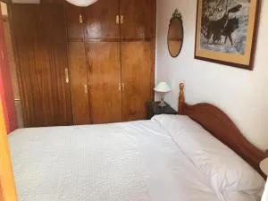 Apartamento céntrico en Formigal - Formigal
