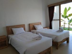 Padi guest house