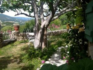 Maisons de vacances La Source a Bonnieux en Luberon : photos des chambres