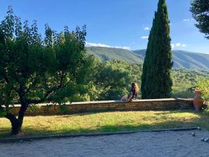 Maisons de vacances La Source a Bonnieux en Luberon : photos des chambres